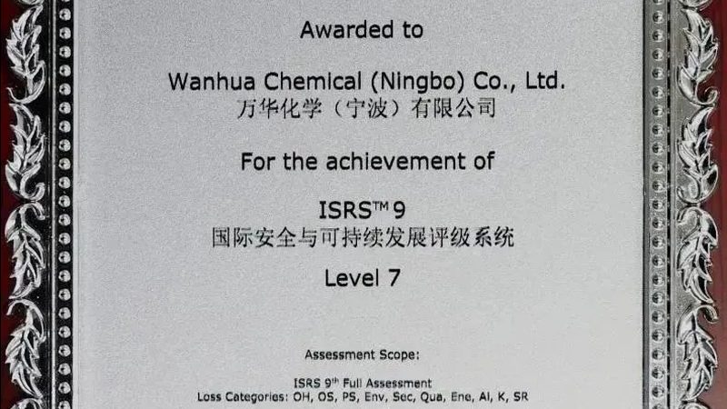 自制西红柿酱的保存之道：如何延长保质期**
