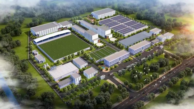 精细化工产品进出口贸易，揭秘行业佼佼者